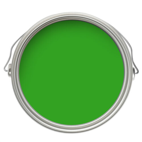 2030 10 Lizard Green CLM