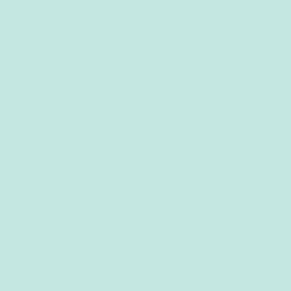 2041-60 Soft Mint 2 2041-60 Soft Mint - Image 2