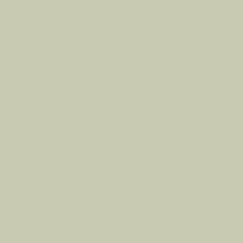 2144 40 Soft Fern