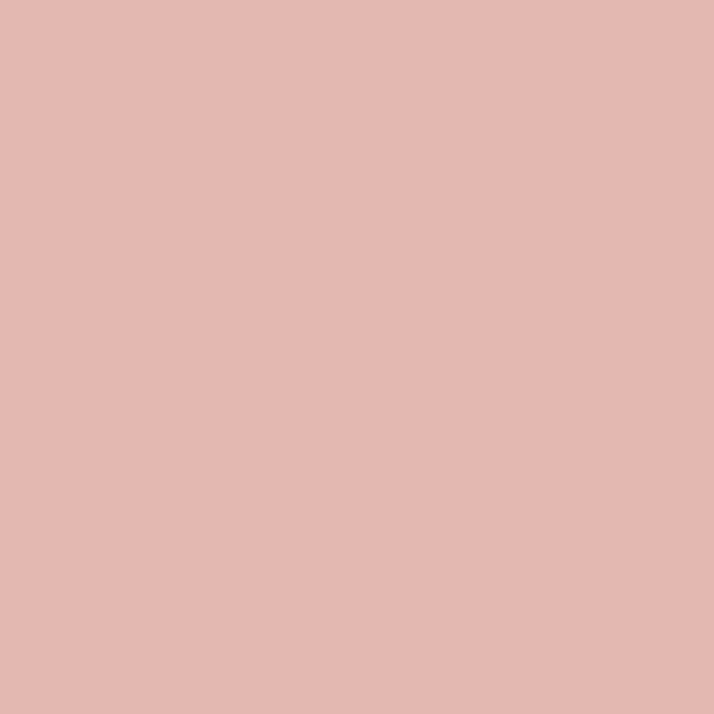 2173-50 Coral Dust 2 2173-50 Coral Dust - Image 2