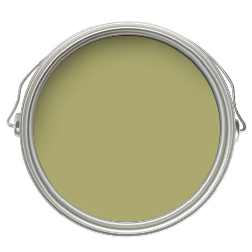 AF 420 Agave CLM
