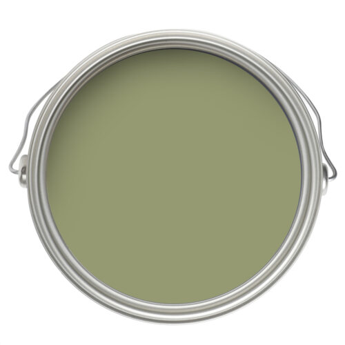CC 668 Misted Fern CLM