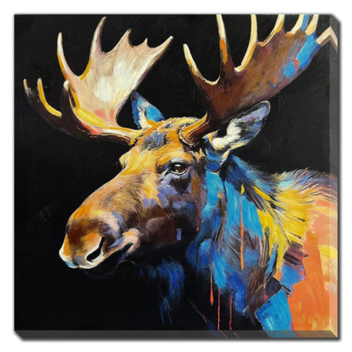 vibrant moose