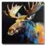 vibrant moose
