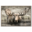 moose hot springs