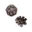 pinecone pull