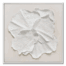 deliate flower