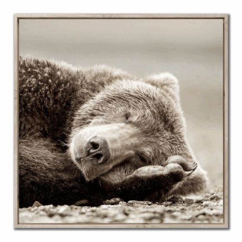 sleeping