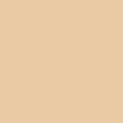 CSP 1085 Face Powder 1