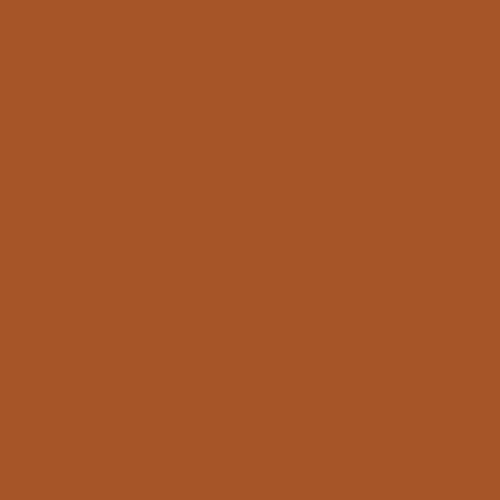 CSP 1105 Tandoori 2