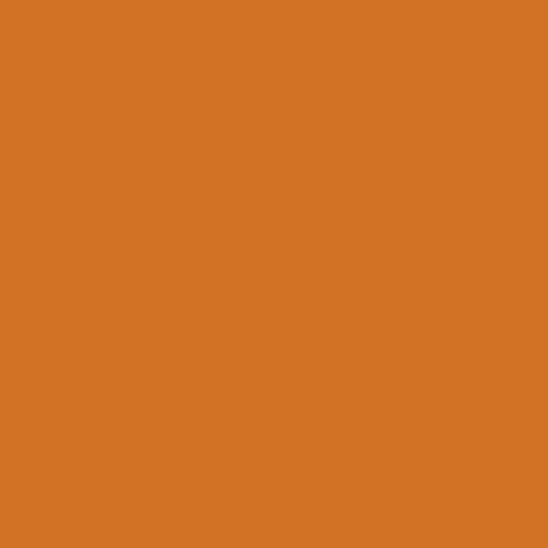 CSP 1110 14 Carrots 1