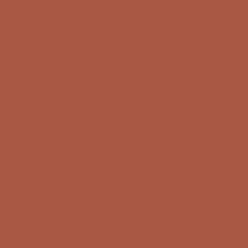 CSP 1140 Egyptian Clay 1