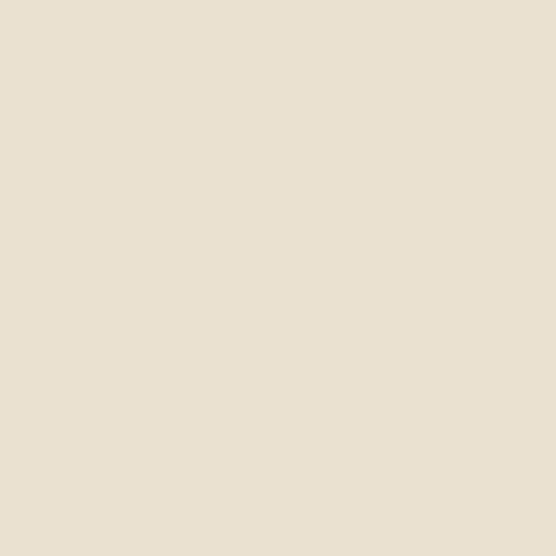 CSP 335 French Macaroon
