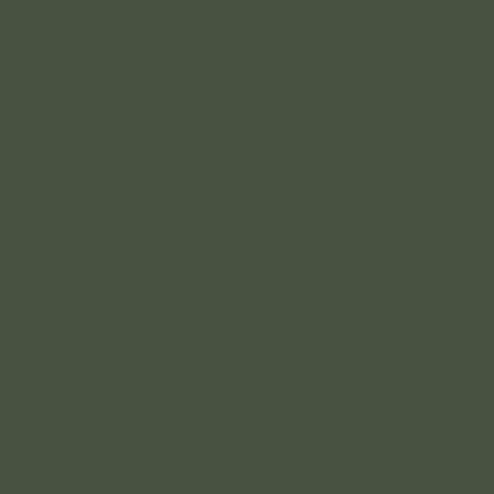 CSP-810 Chimichurri 2 CSP-810 Chimichurri - Image 2