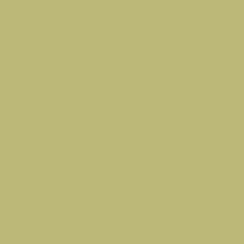 CSP 855 Lilianna 1
