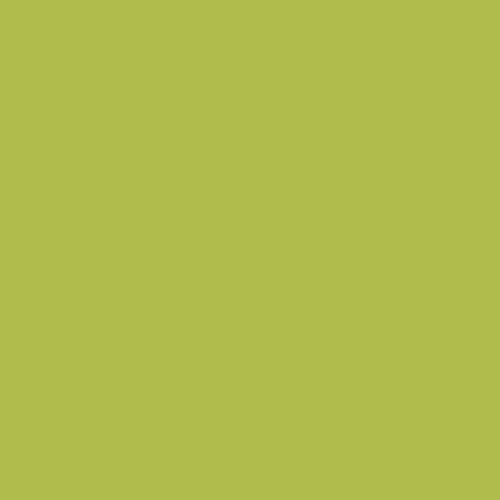 CSP 865 Limeade 1