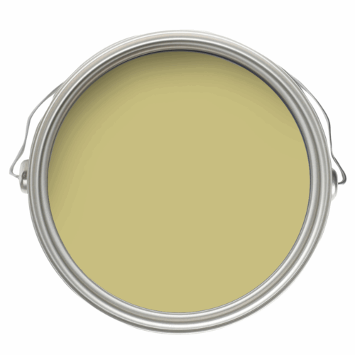 CSP 885 Turkish Bay Leaf 2