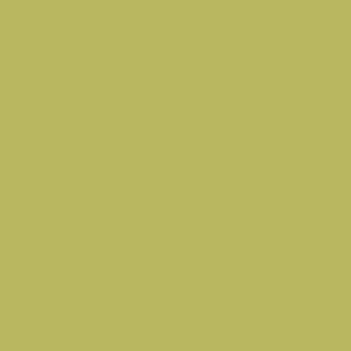 CSP 890 Martini Olive 2