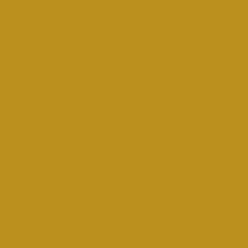 CSP 960 Goldsmith 1