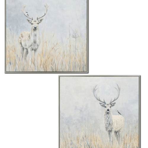 starlight stag 12 1