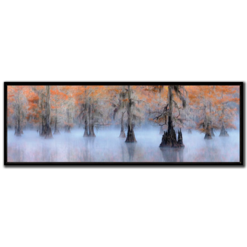 caddo lake